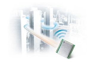 利用鸽子监测空气质量与电磁环境 创新生物监测方法